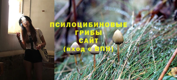 тгк Переславль-Залесский